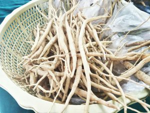 โครงการส่งเสริมสร้างนวัตกรรมเพื่อสุขภาพ