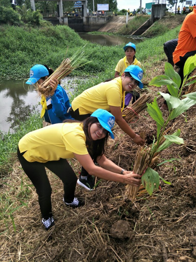 โครงการปลูกหญ้าแฝกเพื่ออนุรักษ์ดินและน้ำ