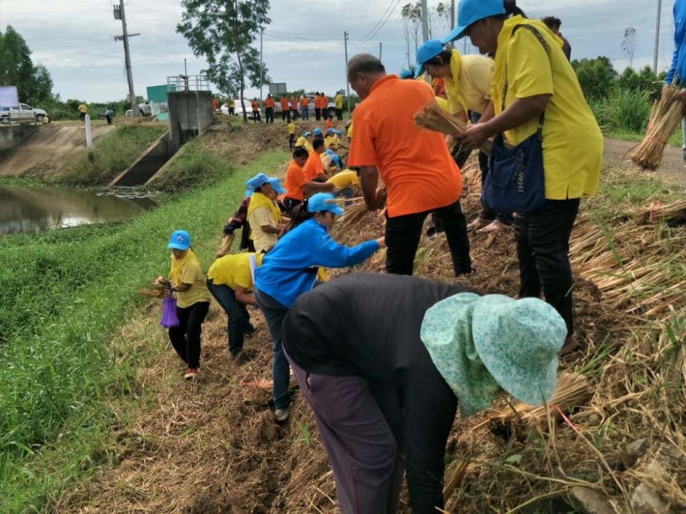 โครงการปลูกหญ้าแฝกเพื่ออนุรักษ์ดินและน้ำ