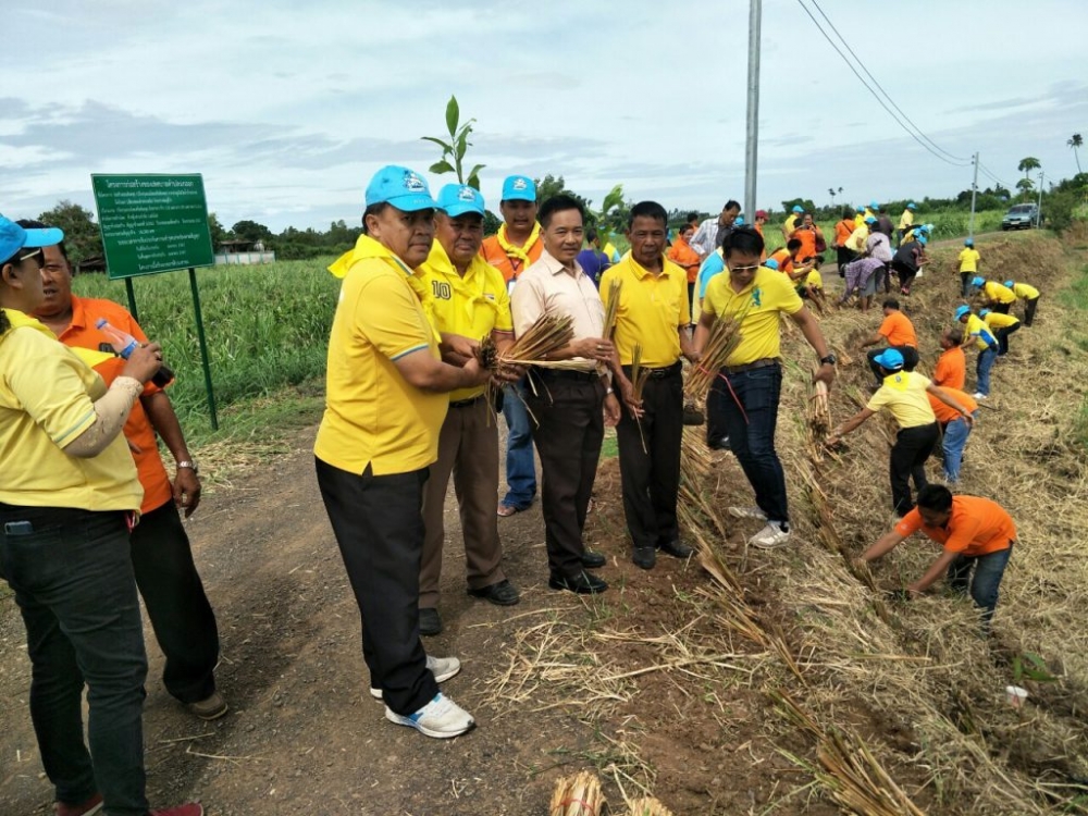 โครงการปลูกหญ้าแฝกเพื่ออนุรักษ์ดินและน้ำ