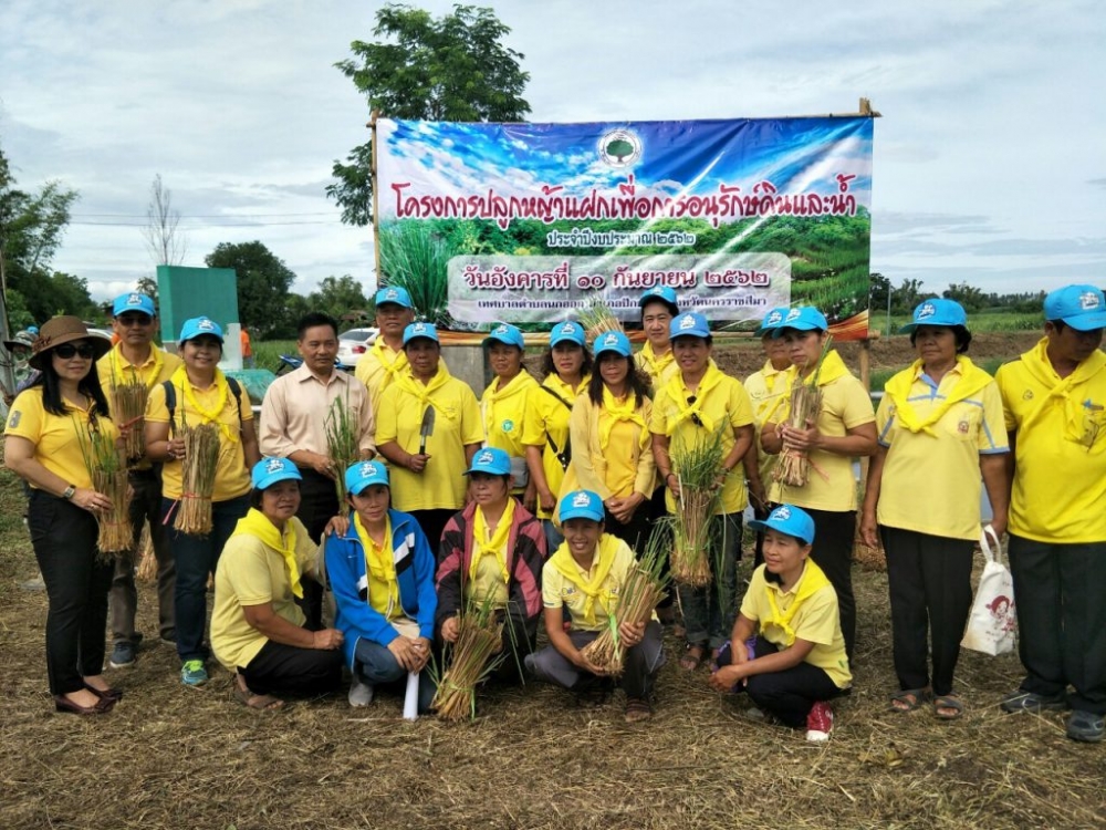 โครงการปลูกหญ้าแฝกเพื่ออนุรักษ์ดินและน้ำ