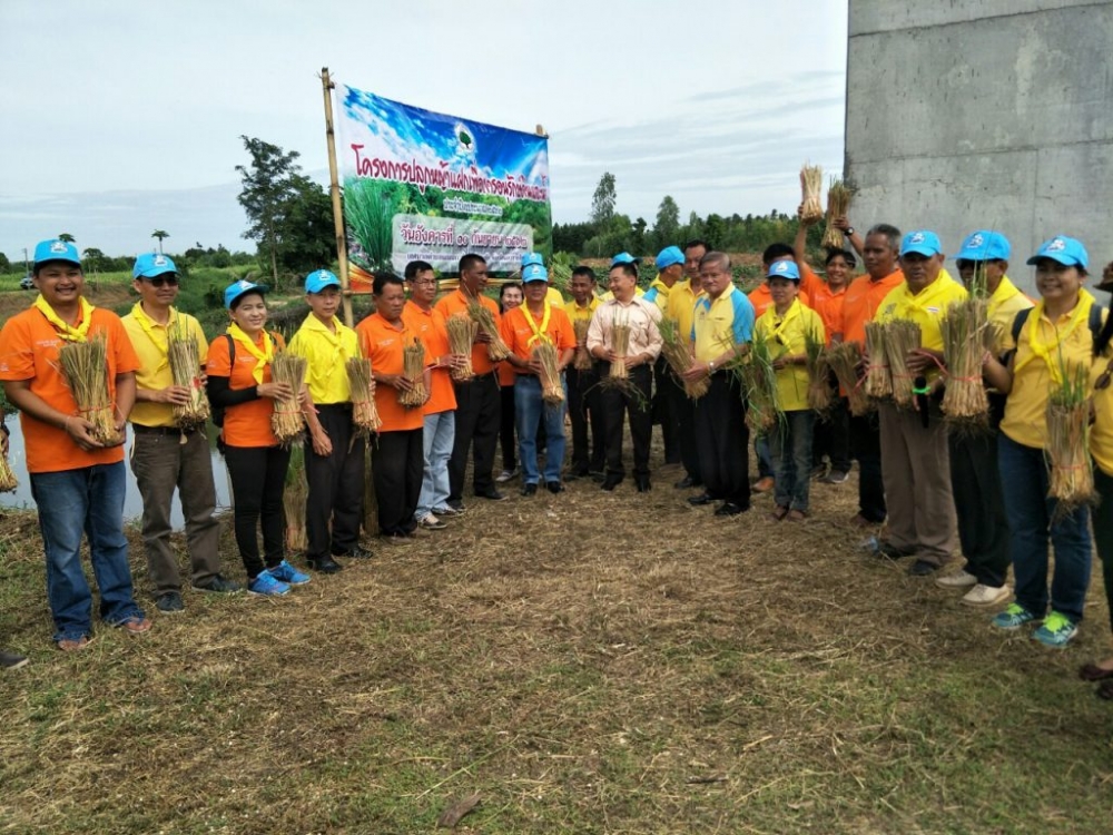 โครงการปลูกหญ้าแฝกเพื่ออนุรักษ์ดินและน้ำ