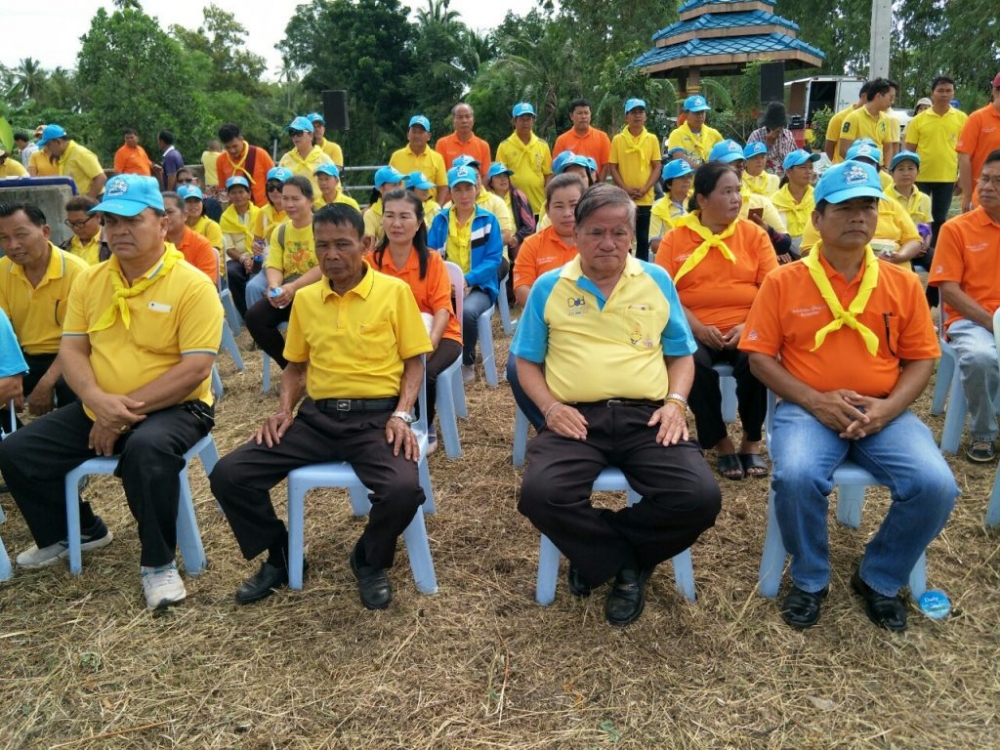 โครงการปลูกหญ้าแฝกเพื่ออนุรักษ์ดินและน้ำ