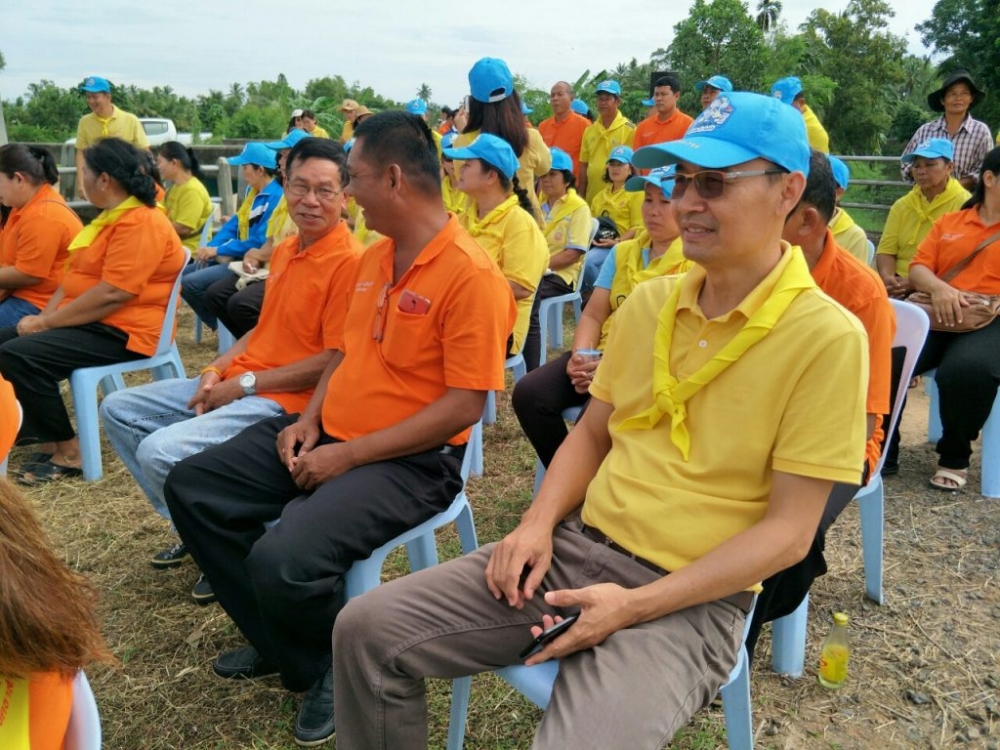 โครงการปลูกหญ้าแฝกเพื่ออนุรักษ์ดินและน้ำ