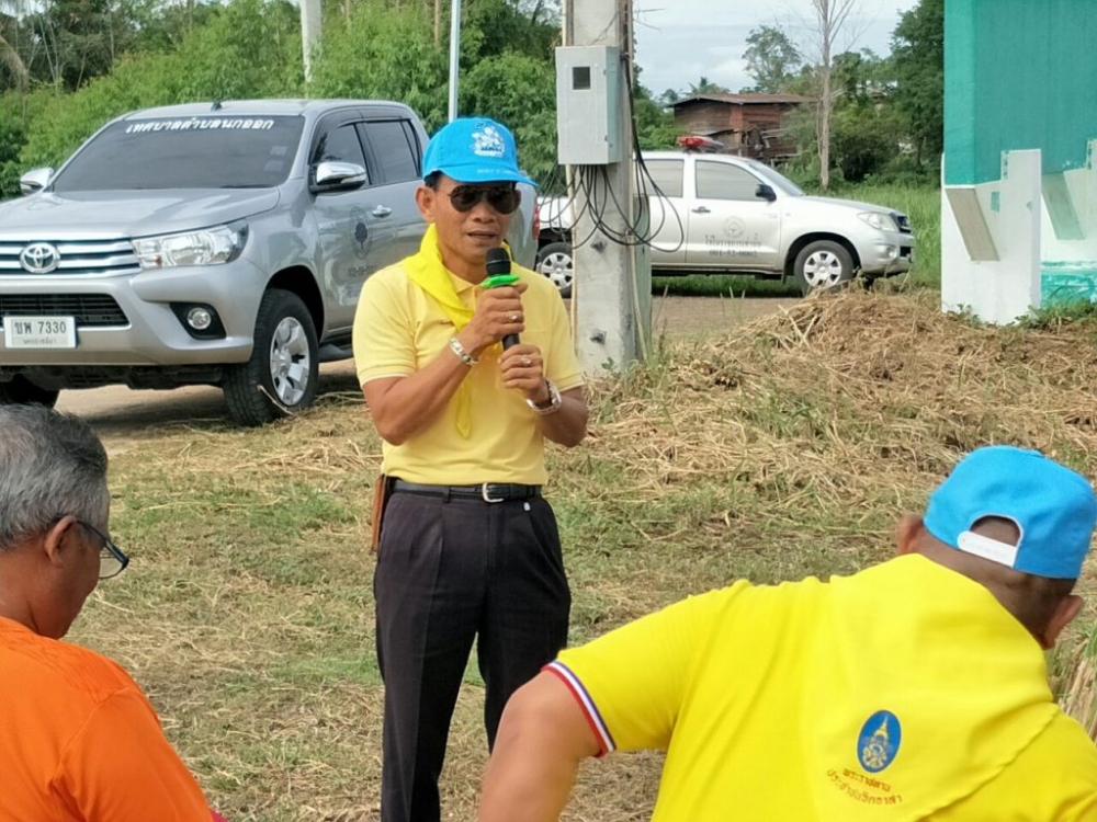 โครงการปลูกหญ้าแฝกเพื่ออนุรักษ์ดินและน้ำ