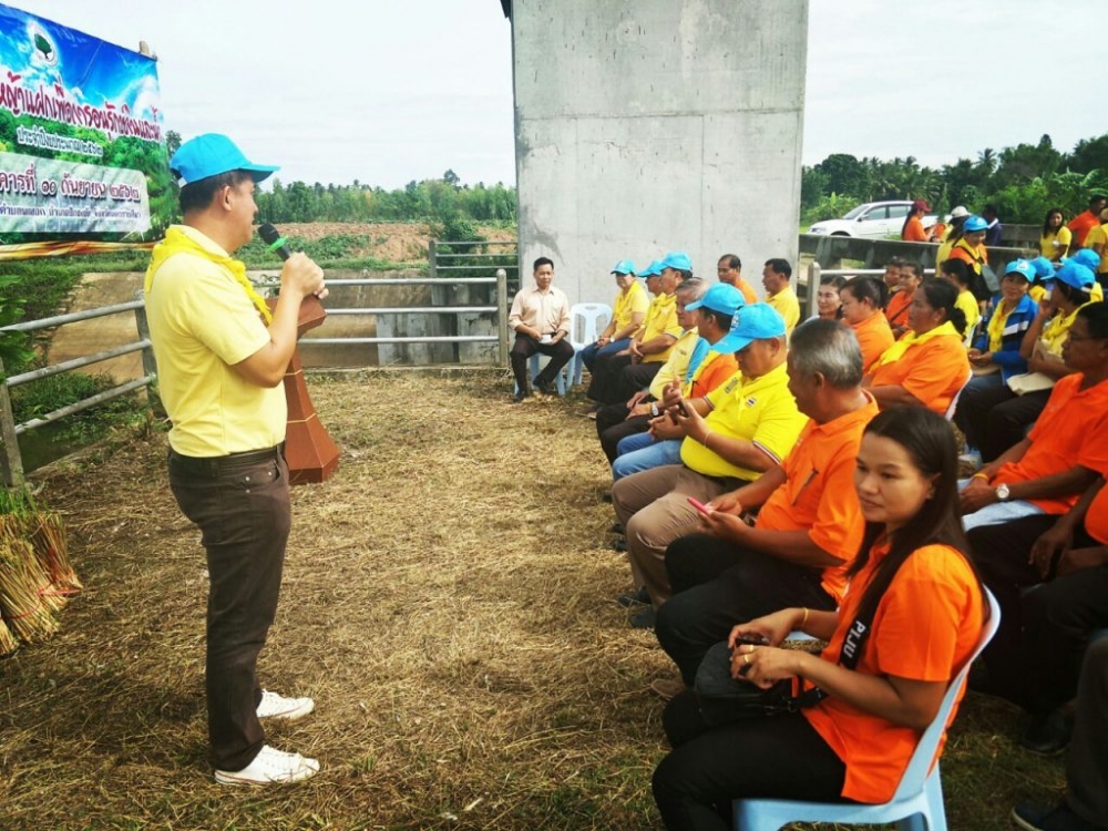 โครงการปลูกหญ้าแฝกเพื่ออนุรักษ์ดินและน้ำ