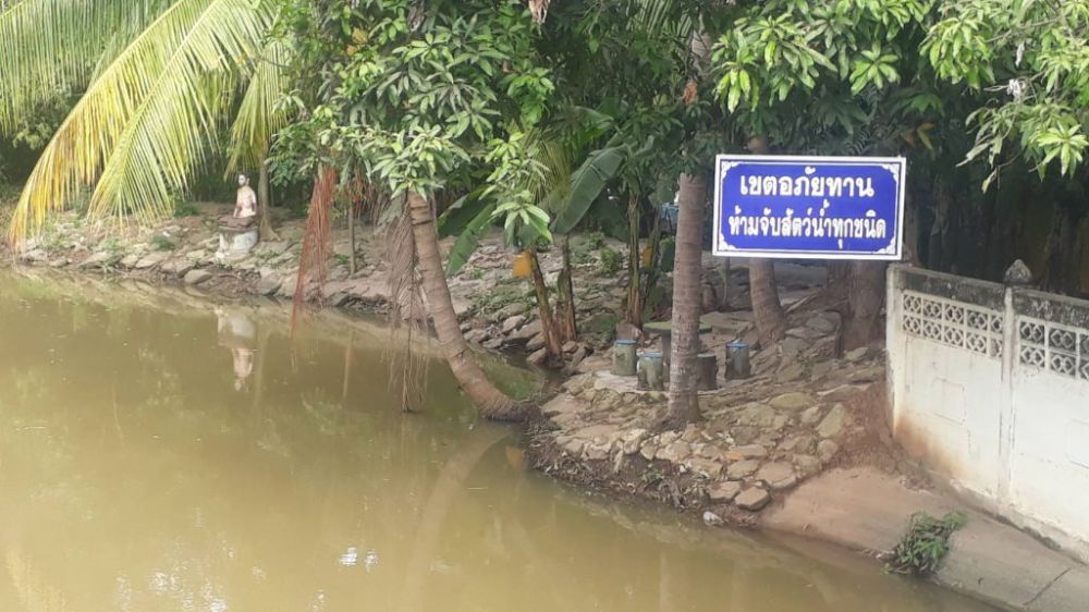 ห้ามจับสัตว์น้ำ