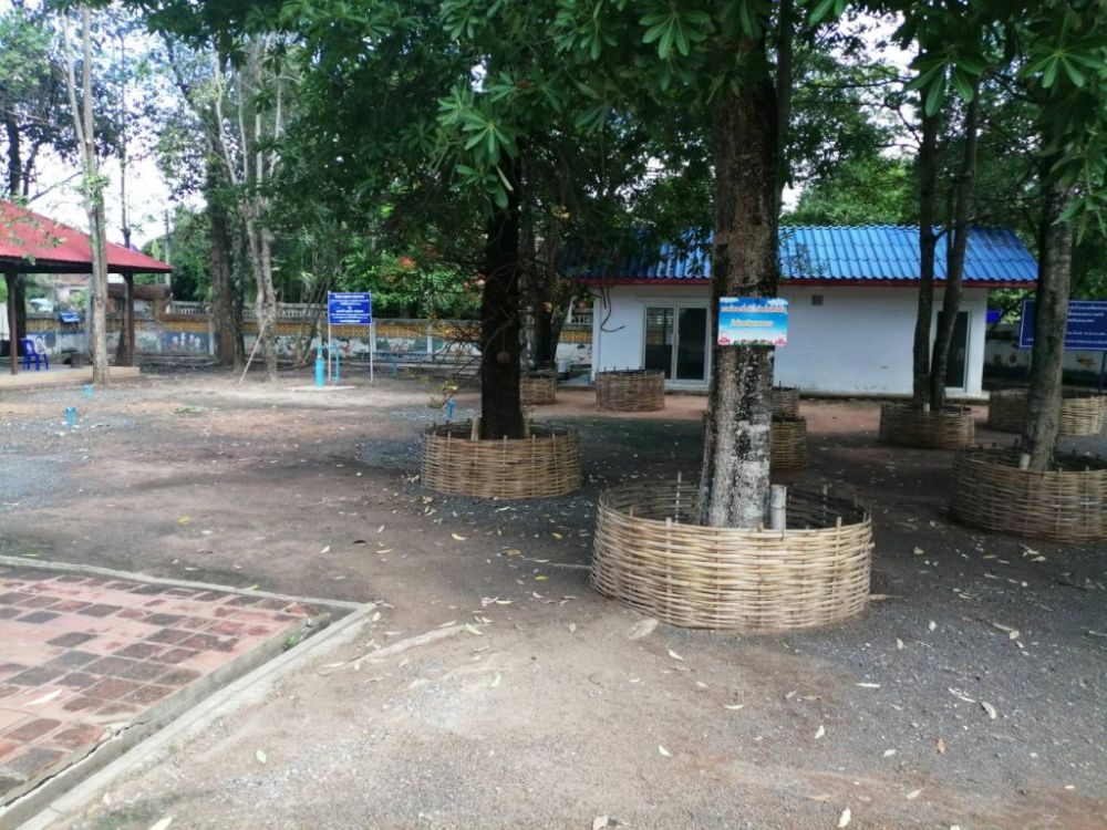 เมืองแห่งคาร์บอนต่ำ