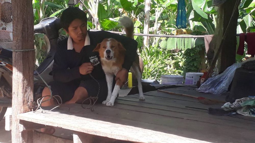 ฉีดวัคซีนพิษสุนัขบ้า