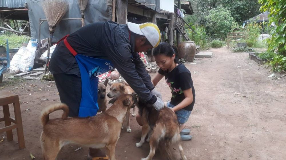 ฉีดวัคซีนพิษสุนัขบ้า