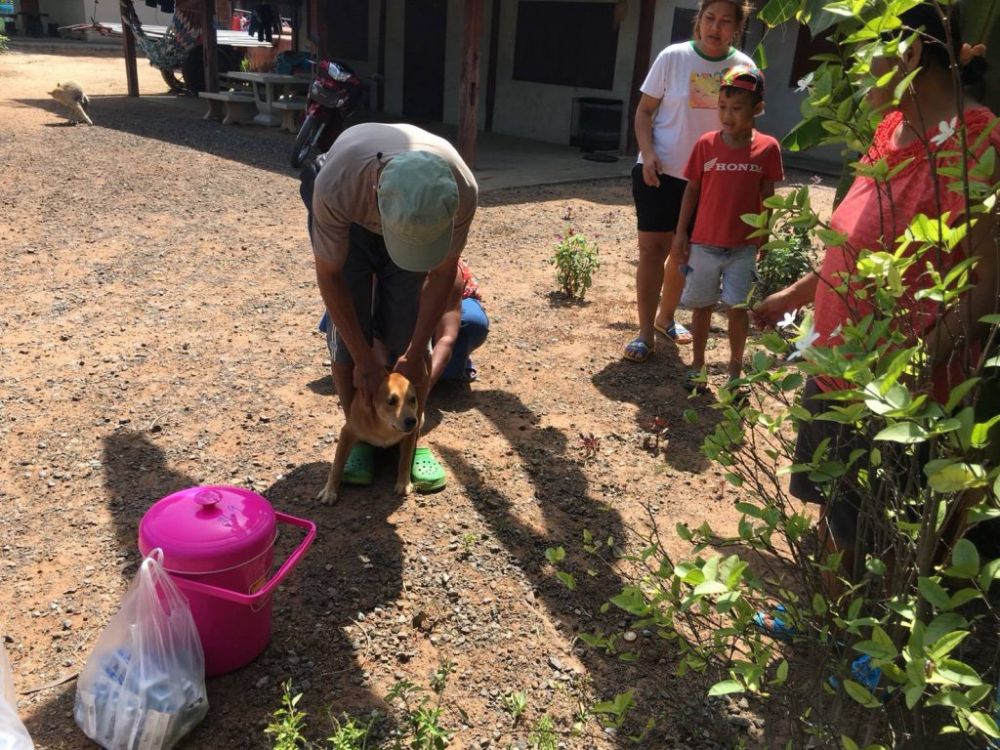 ฉีดวัคซีนพิษสุนัขบ้า