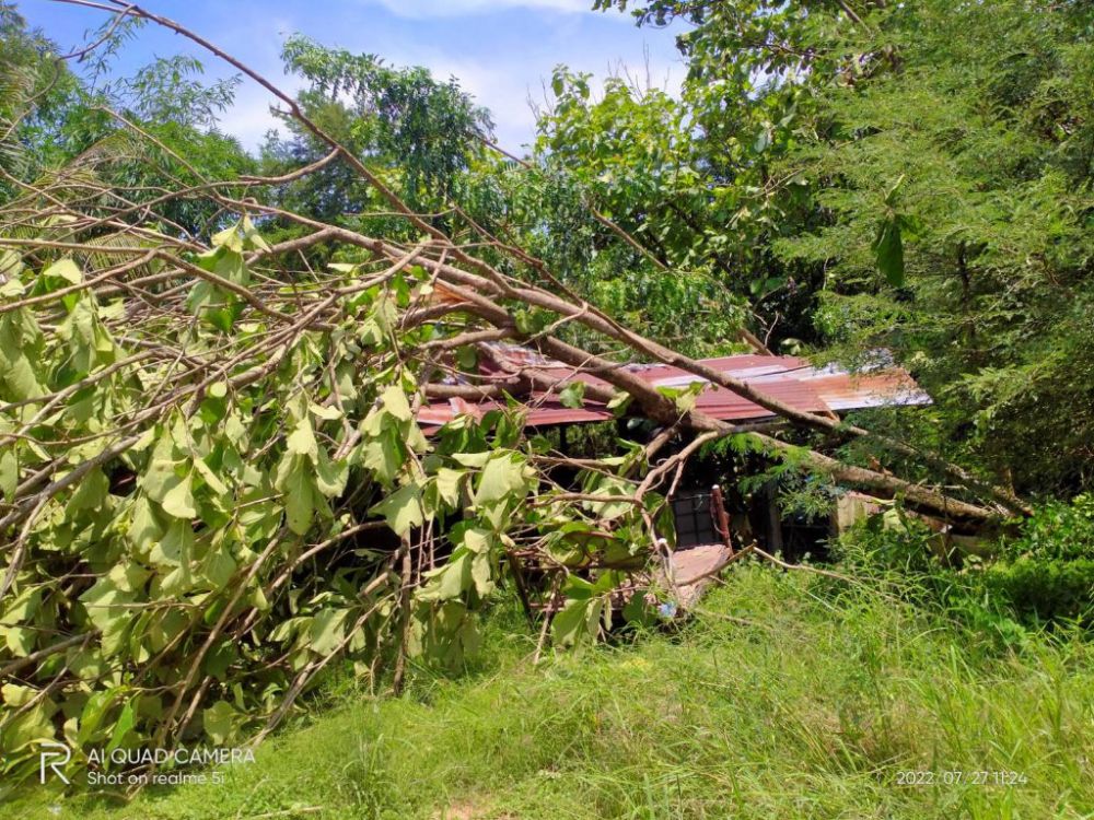 ช่วยเหลือผู้ประสบวาตภัยในพื้นที่