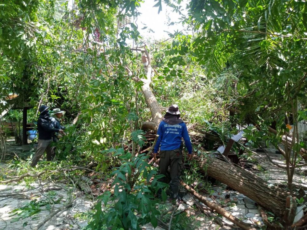 ช่วยเหลือผู้ประสบวาตภัยในพื้นที่