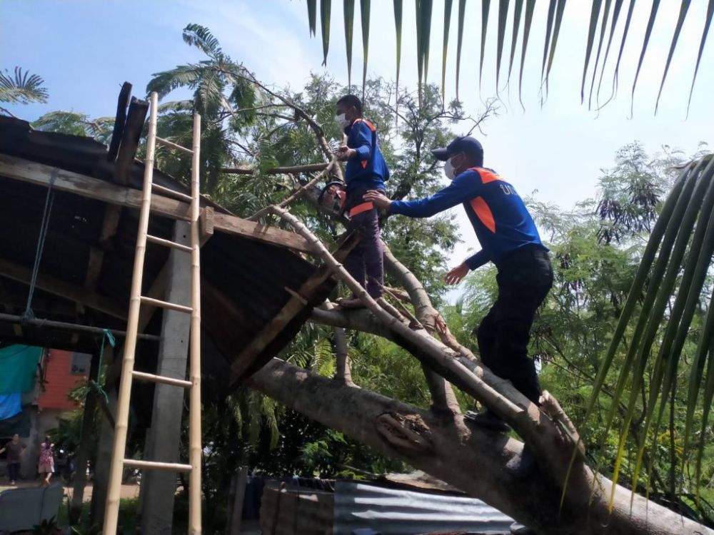 ช่วยเหลือผู้ประสบวาตภัยในพื้นที่