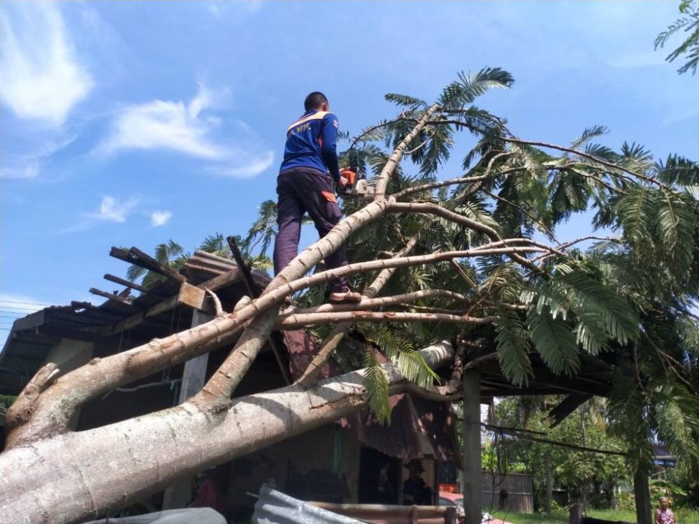 ช่วยเหลือผู้ประสบวาตภัยในพื้นที่