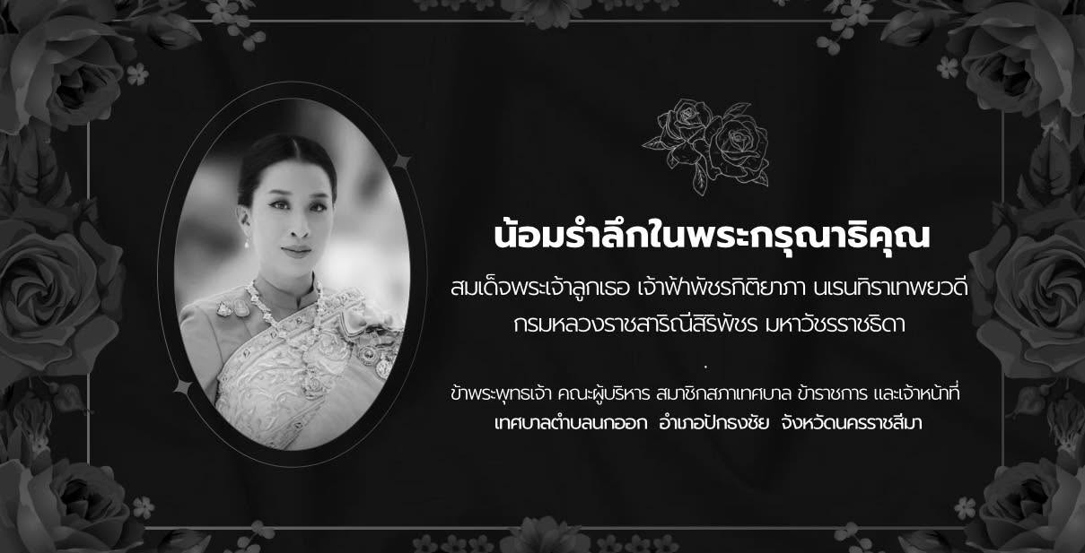เทศบาลตำบลนกออก